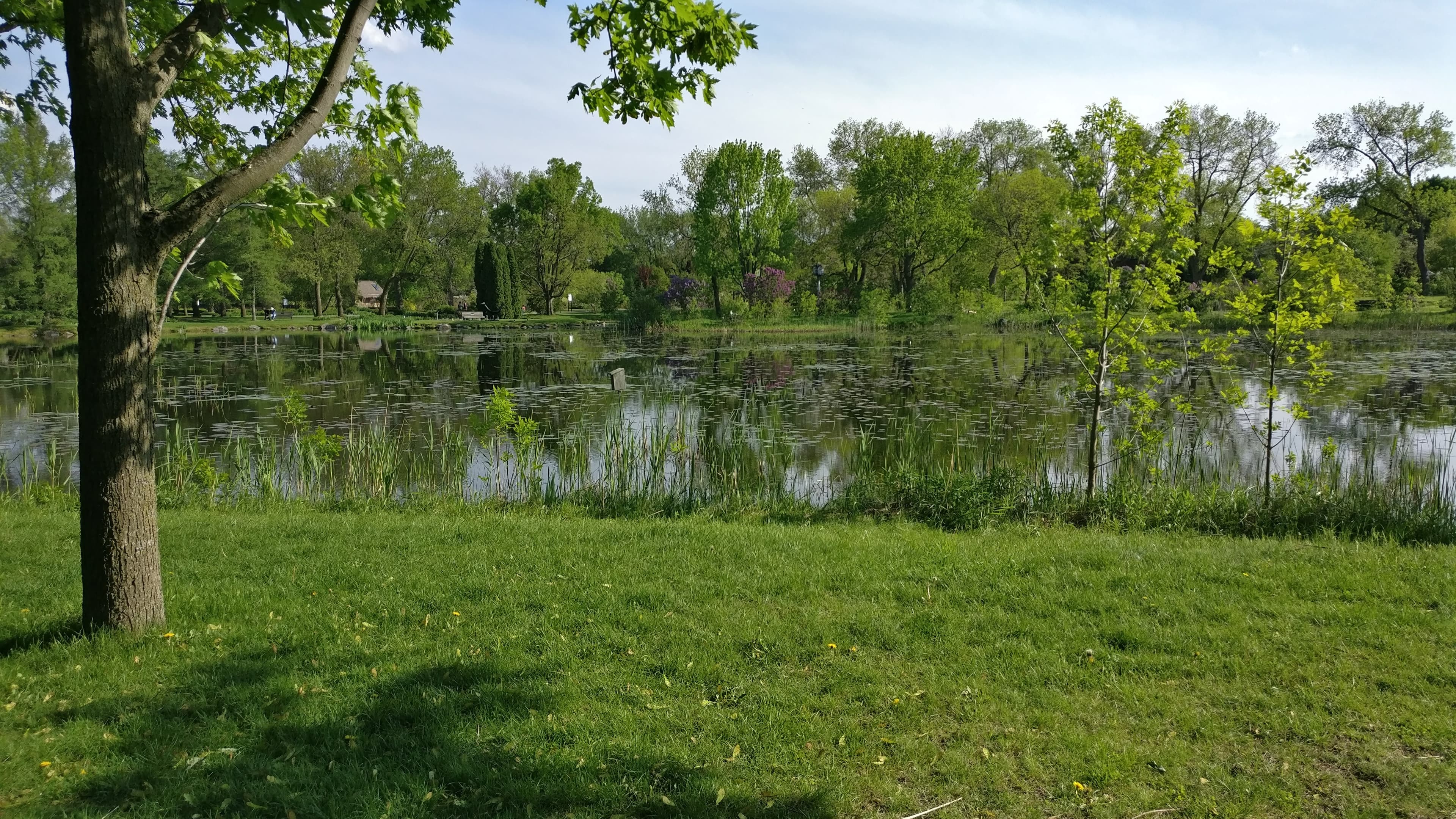 Picture taken at Montreal Botanical Garden